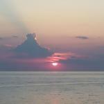 Pizza Speedy Di Di Calisto Marco